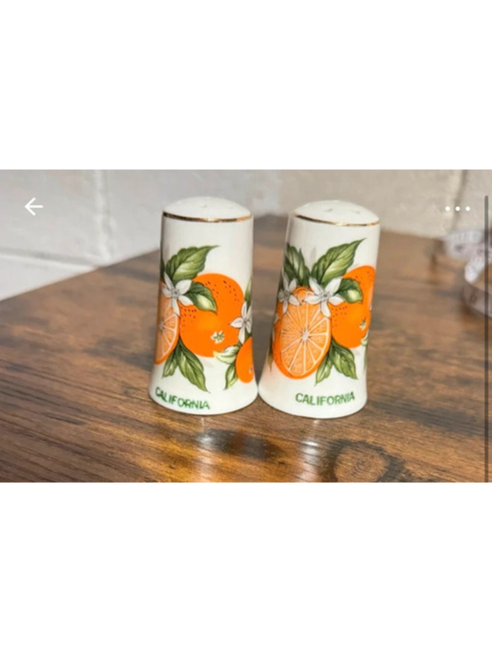 NWOT California Salt and Pepper Shakers